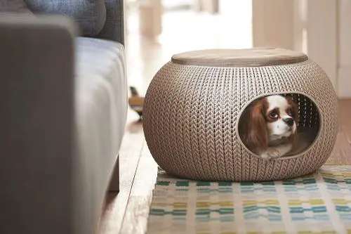 side table or ottoman doubles as a cozy pet bed for small animals