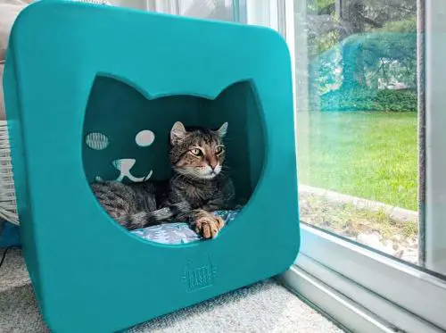 Kitty Kasas modular cat house