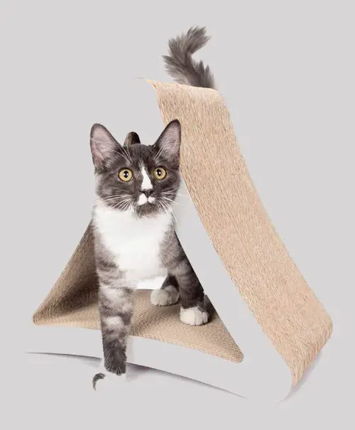 hideaway and scratcher for cats