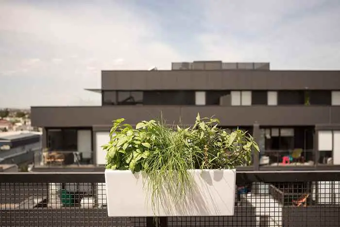 self-watering mini rail planter