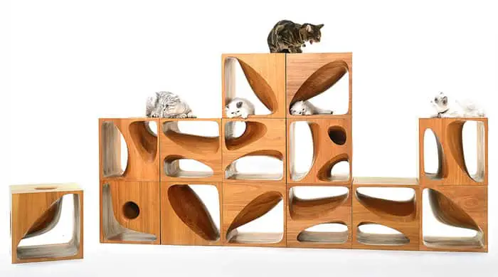 playful cat furniture blocs
