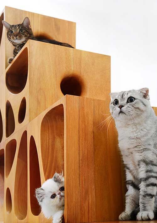 playful cat furniture system