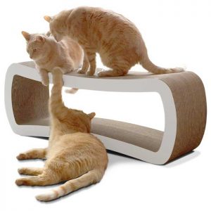 petfusion cat toy