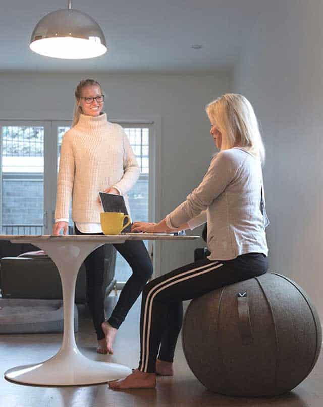 vivora luno exercise ball