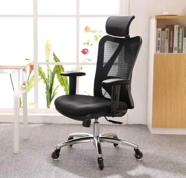 ergonomic office chair with mesh back