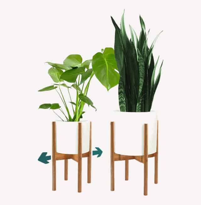 bamboo plant stand set
