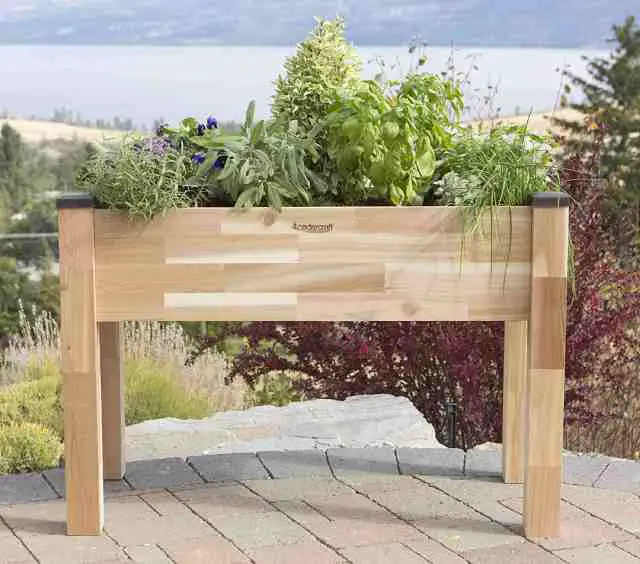 self-watering wooden planter