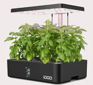 hydroponics growing system set