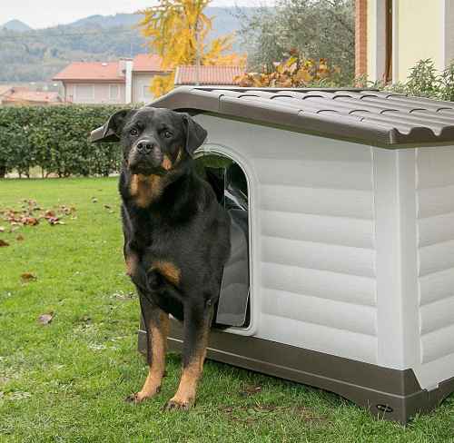 dog villa