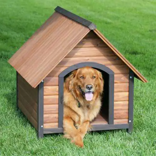 outdoor weatherproof dog house
