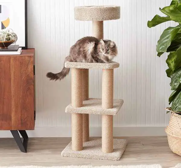 cat activity tree with scratching posts